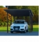 Carport Con Grigliati Cm 320x495