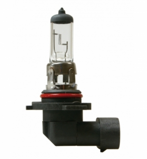 Lampada h10 12v 42w py20d scatola