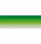 Top line verde sfumato