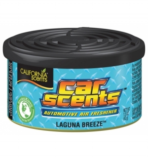 Espositore con 12 deodoranti Car Scents - Laguna breeze