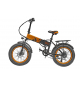 Bicicletta elettrica con pedalata assistita vinco orange