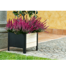 Fioriera lavanda cm 36x36x32h